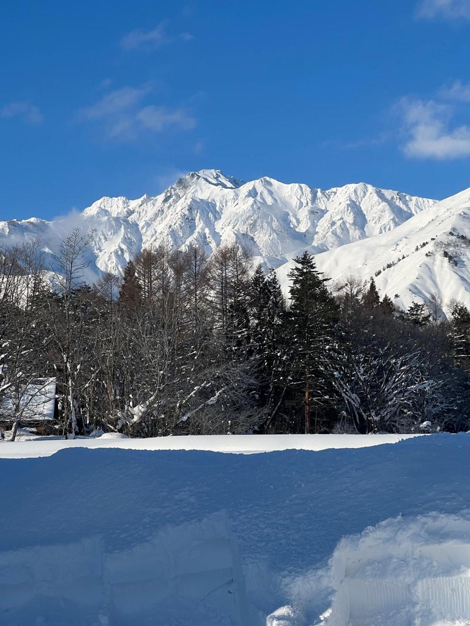 Heidihof Hotel Hakuba Exteriér fotografie